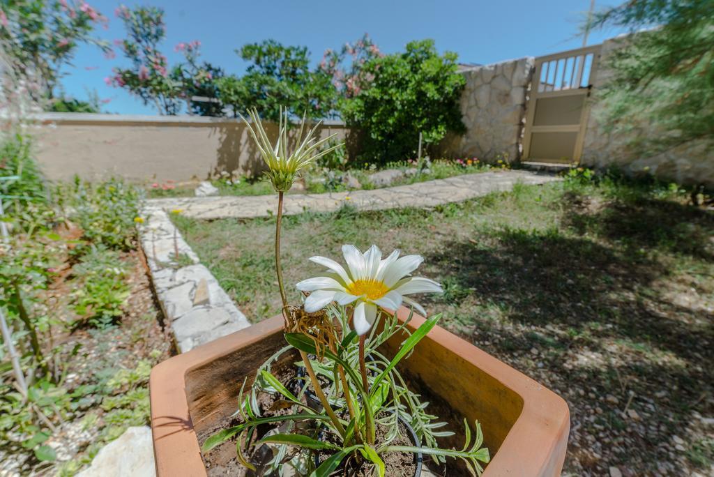 فير Paula Apartments المظهر الخارجي الصورة